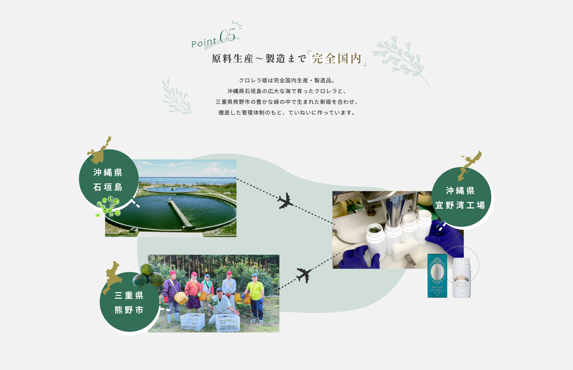 原料生産～製造まで 完全国内　クロレラ姫は完全国内生産・製造品。沖縄県石垣島の広大な海で育ったクロレラと、三重県熊野市の豊かな緑の中で生まれた新姫を合わせ、徹底した管理体制のもと、ていねいに作っています。